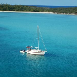 Meet your Posher, Roberta